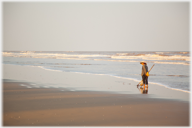 Digging for Molluscs