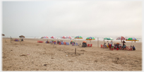Umbrellas at Tinh Gia beach.