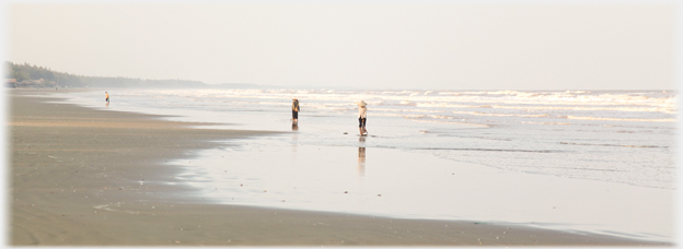 Digging at the tide line