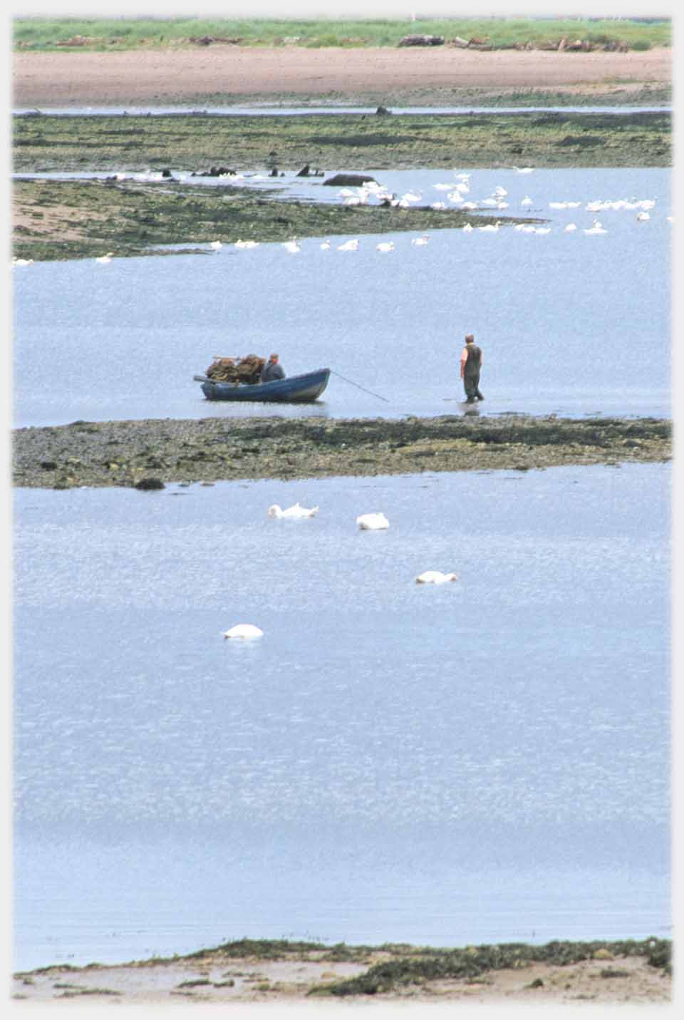 Man standing in water by boat.