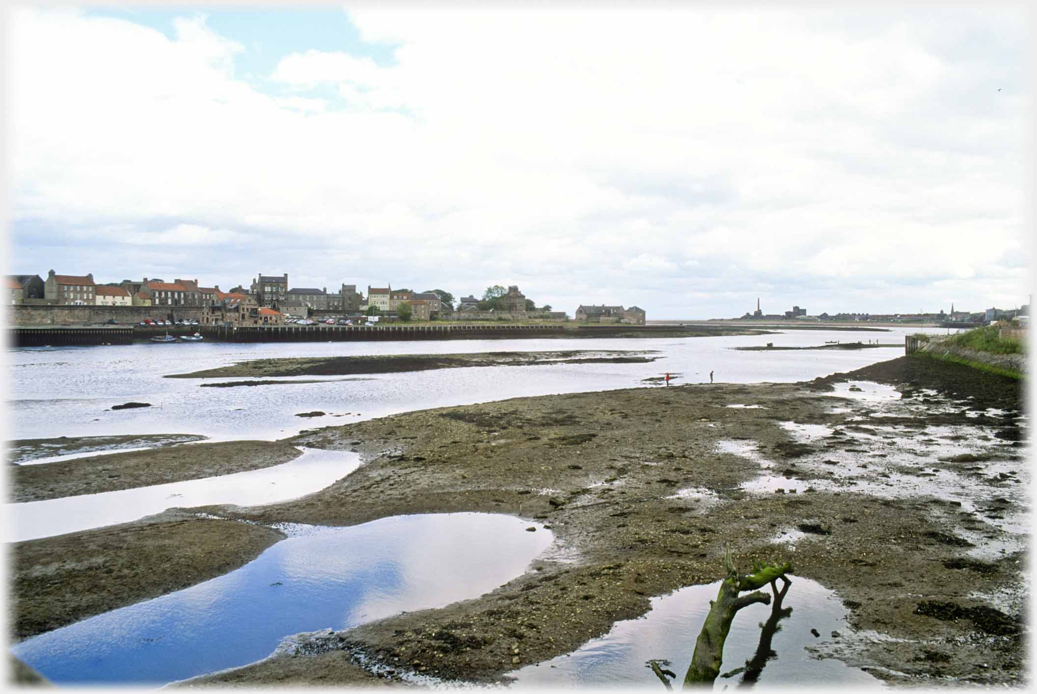 Mud flats by estuary, houses of Berwick opposite.