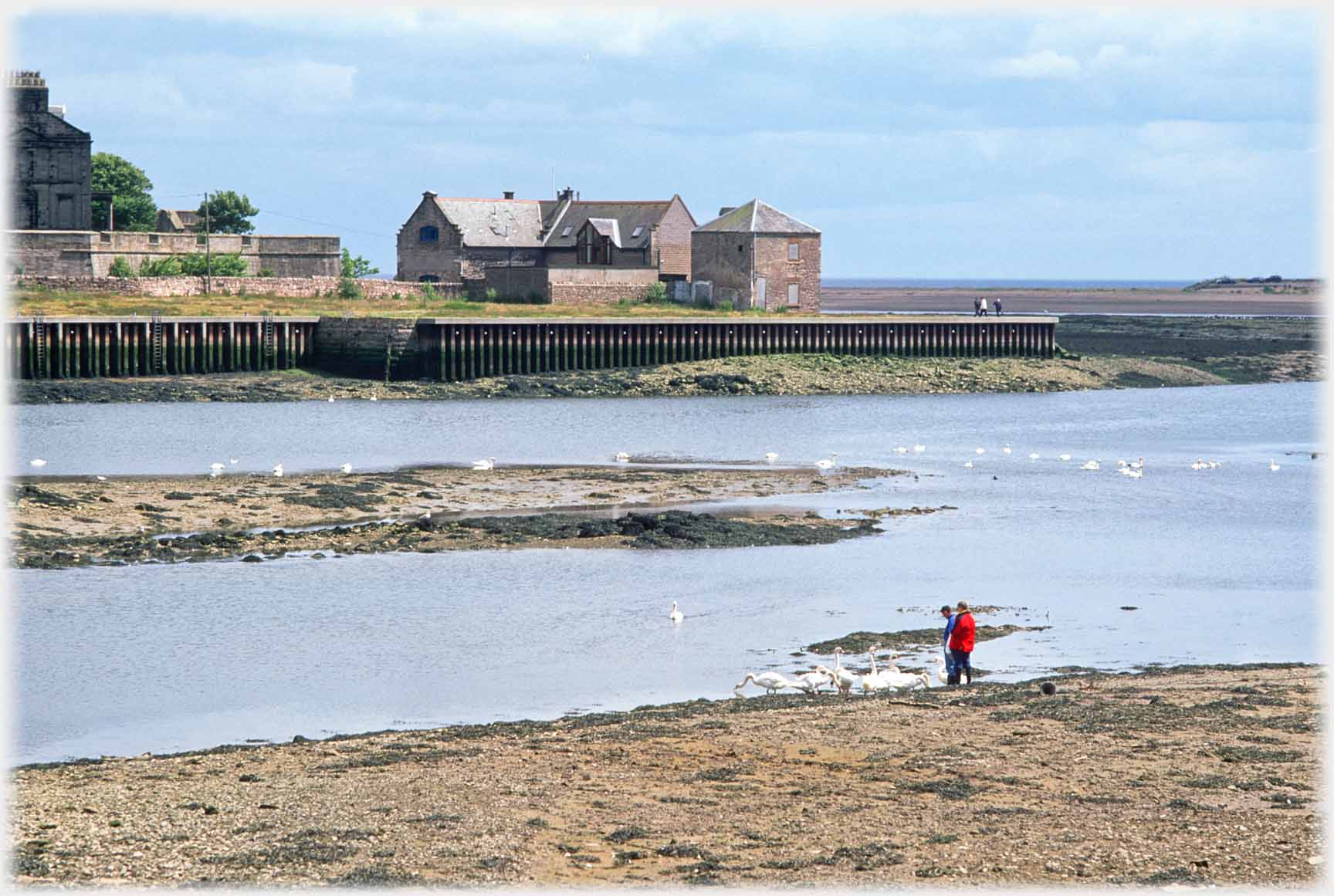 Two people feeding swans on near bank, across river town wall and group of buildings.