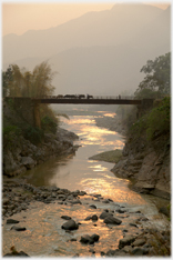 Buffalo crossing high bridge over river at sunset.