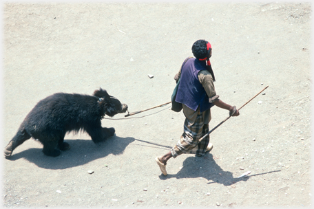 Man walking with bear.