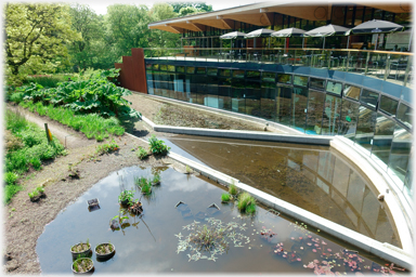 Ponds of John Hope building.