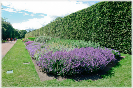 Main herbaceous border.