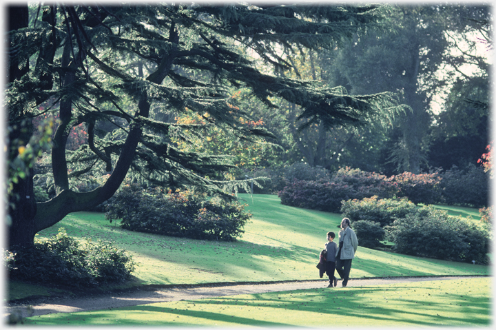 Stroll in Botanics.