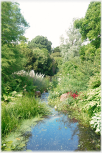 Pool in stream.