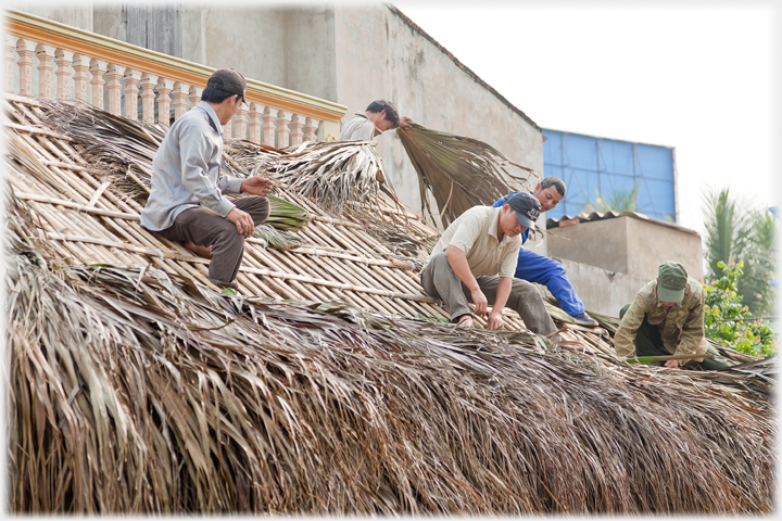 Thatching the cafe roof.