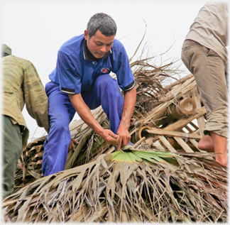 Tieing fronds onto the roof beams.