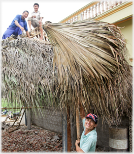 Lifting fronds onto the roof.