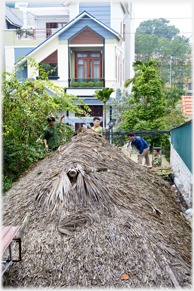 The thatched roof.