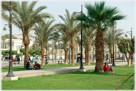 Palms in front of the Presidential Palace.