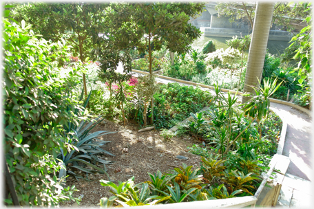 Garden at the centre of the city.