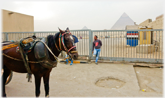 Horse and pyramid.