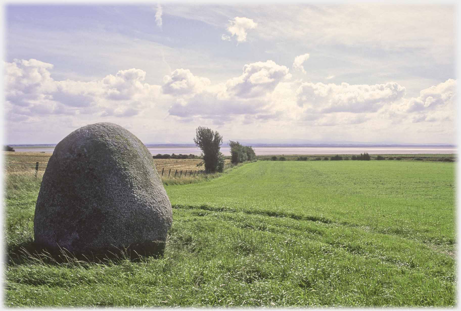 Single boulder in field leading down to sea.