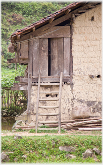 Ladder giving access to a house.