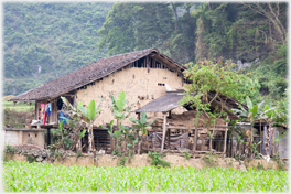 House with outbuildings.