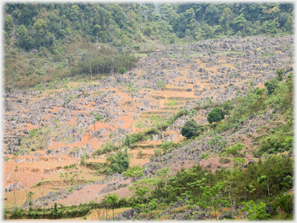 Very rocky valley with small terraced fields.