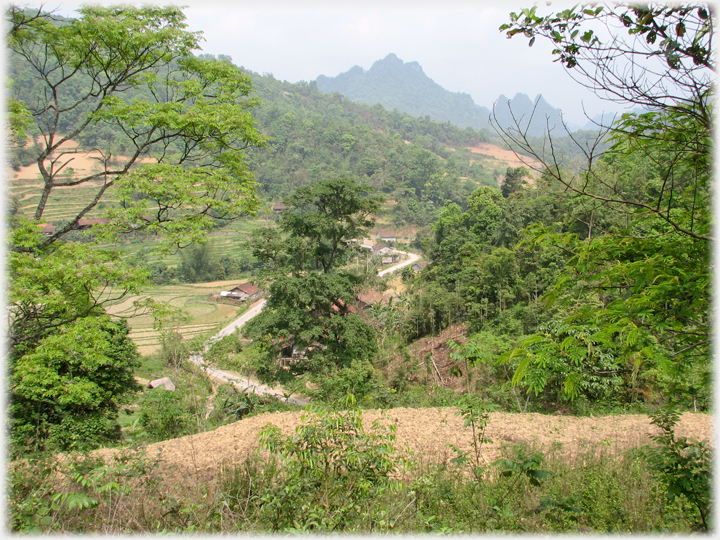 View down a valley with road and houses and karsts in the background.