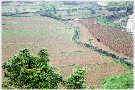 Sinuously curved ditch.