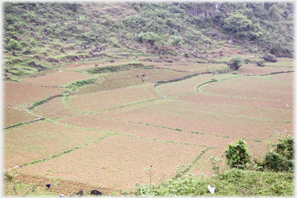 Valley floor with wide fertile fields.