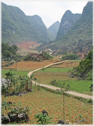 Road winding into the distance between karsts.