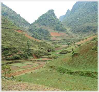 Small karst in a valley with fields.