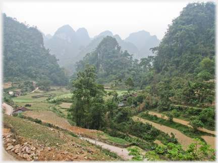 Larger trees in a rich valley.