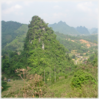 Well covered karst with one side at about 80 degrees to the ground.