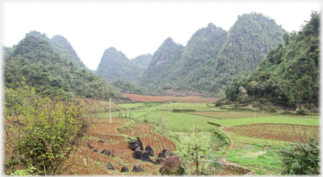 Fields with karsts around them.