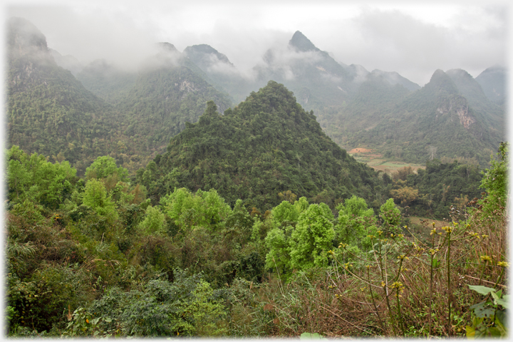 Karsts trees and cloud hanging round the peaks.