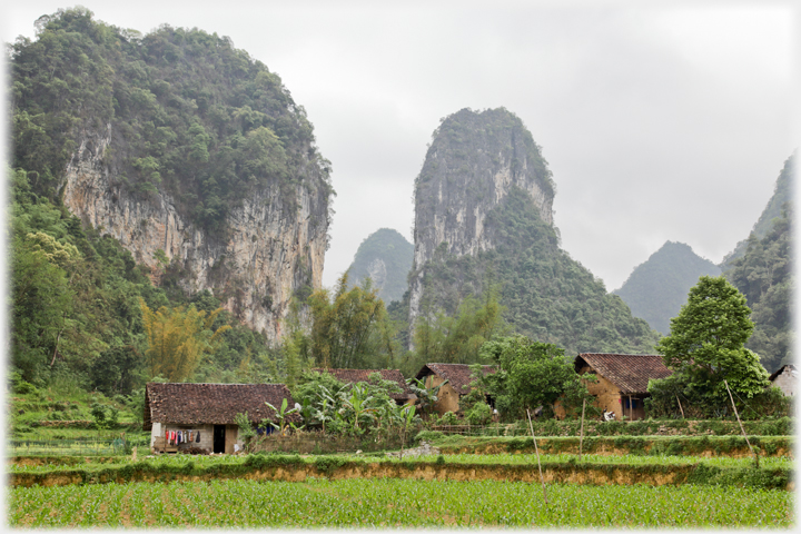 Columnar karst behind a village.