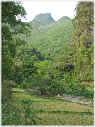 River with karst rising behind.