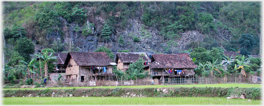 Village houses.