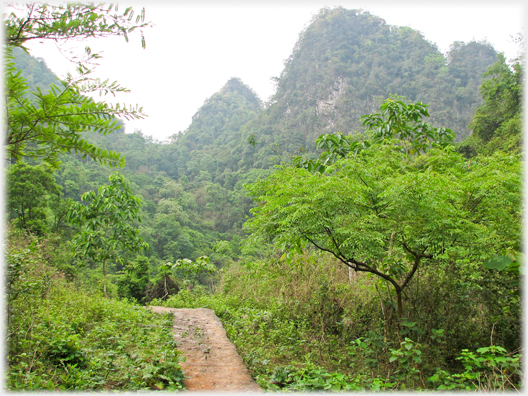 Wider hard path between vegetation