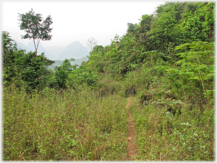 Narrow dirt path disappearing into scrub, background of karsts.