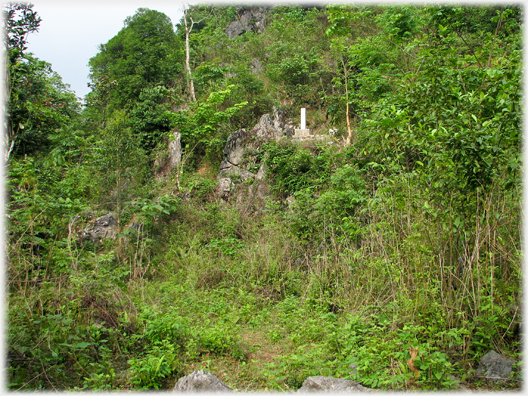 Vegetation covered hillside with border marker on ledge above.
