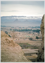 Looking across the adobe city of Kerman rooftops.