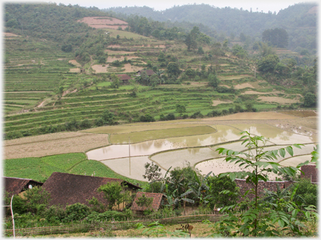 Valley with terraces on the hillside and below.