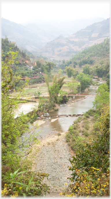 Valley winding between hills with bamboos at the water's edge.