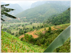 Terraces and valley.