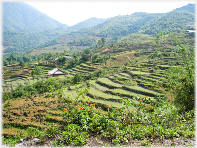 Gentle terracing.