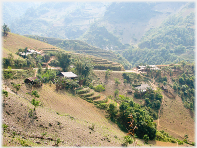 House by road with very steep terraces.