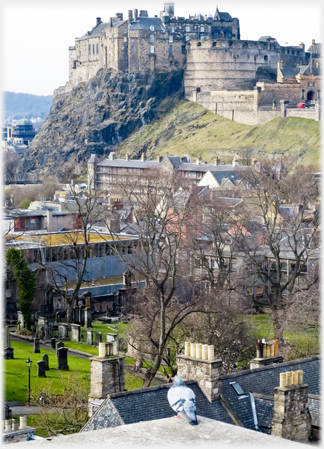 Castle surveyed by pigeon.