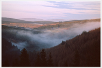 Mist in a valley in Ae Forest.