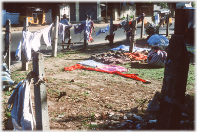 Clothes drying on barbed wire and on the ground.