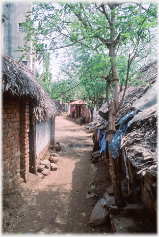 Lane with simple thatched houses on both sides.