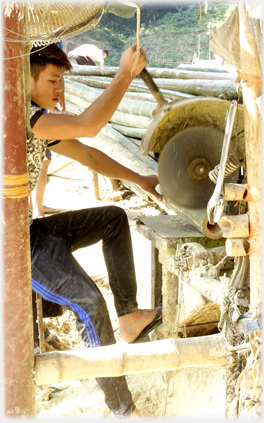 Cutting the bamboo.