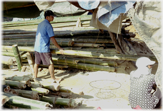 Feeding the Bamboo into the cutter.
